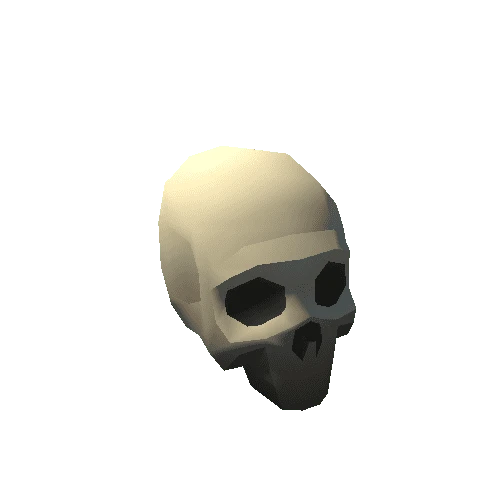 Skull_1A 1